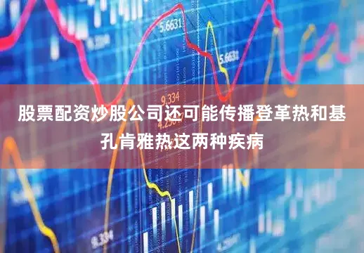 股票配资炒股公司还可能传播登革热和基孔肯雅热这两种疾病
