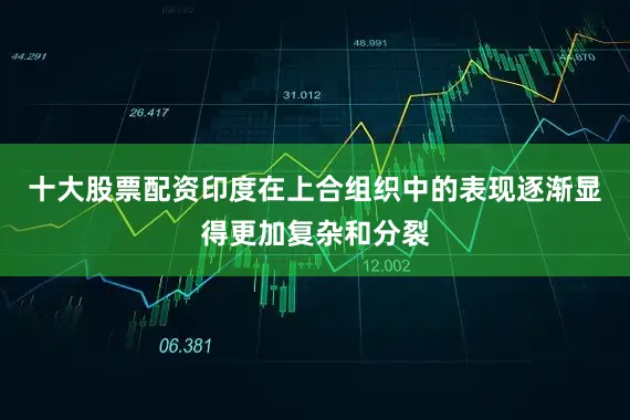 十大股票配资印度在上合组织中的表现逐渐显得更加复杂和分裂